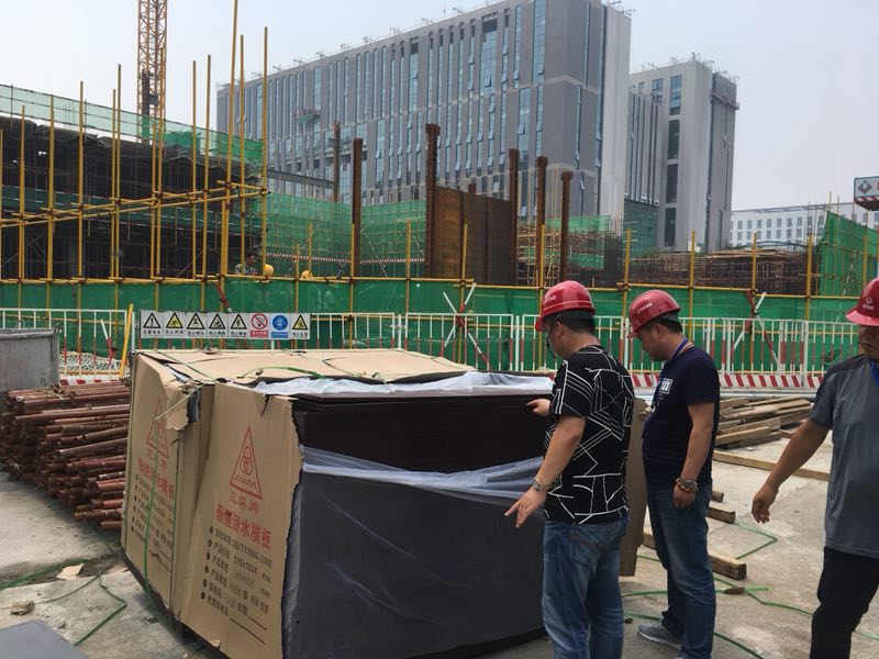 北京城建中国科学院遥感与数字地球研究所项目——同新木业